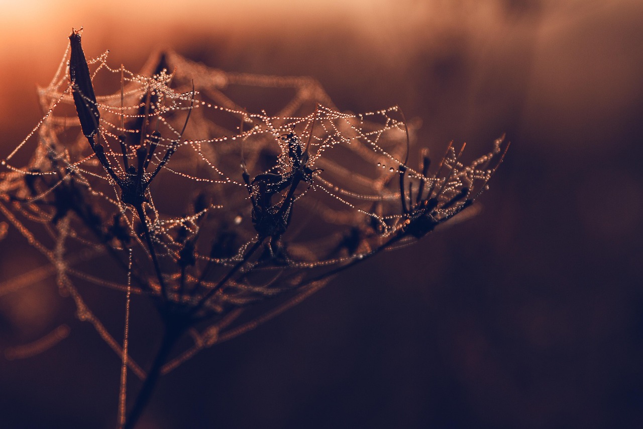 webマーケターが英語を学ぶべき理由とは？