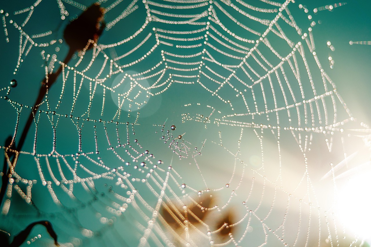 webマーケターとして必要な英語スキルとは？