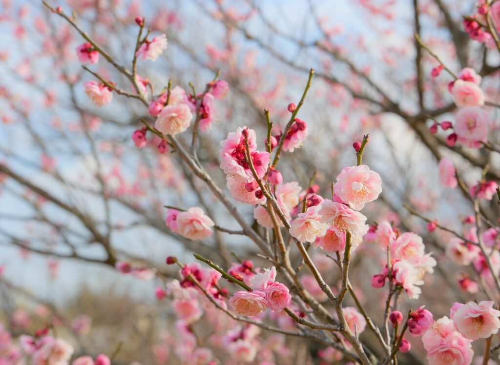 CourseraとUdemyの違いを徹底比較したい人は？