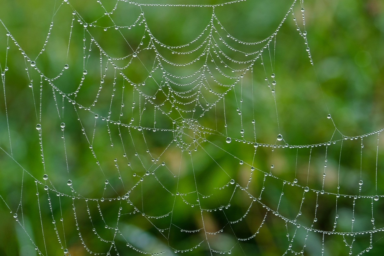 英語圏でのWEBマーケティングの成功事例は？