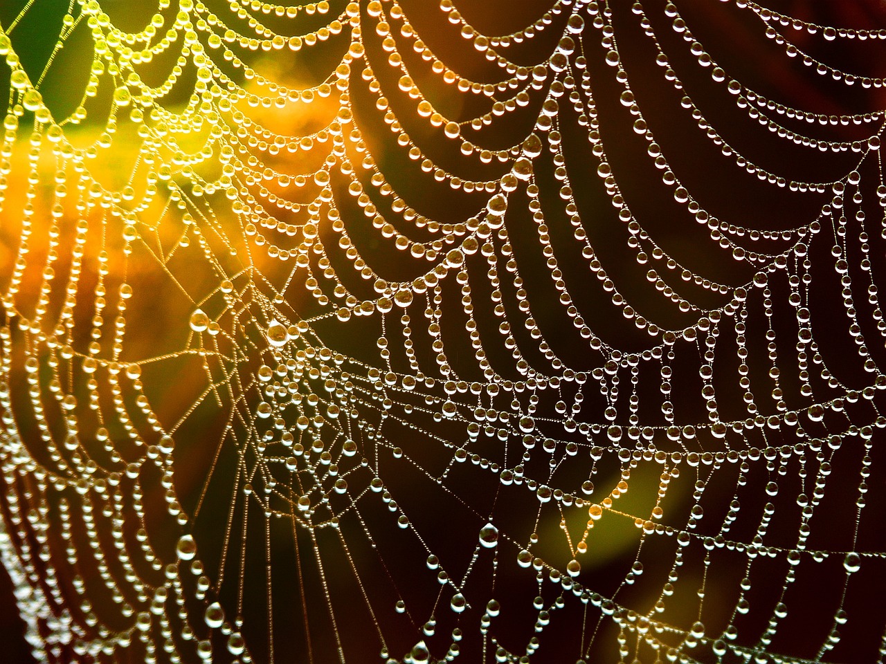 webマーケターとしてのキャリアプランをどう立てるべきか？