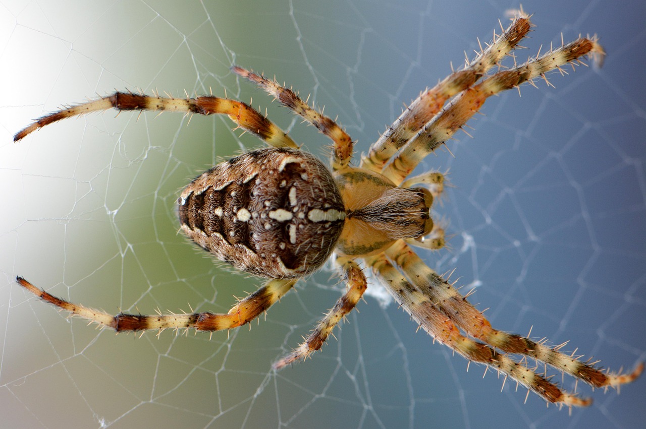 webマーケターの将来性について知っておくべきことは？