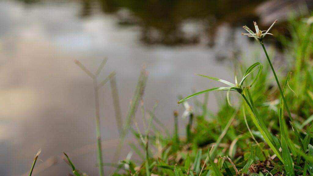 webディレクターとしての効果的な自己PR方法は？