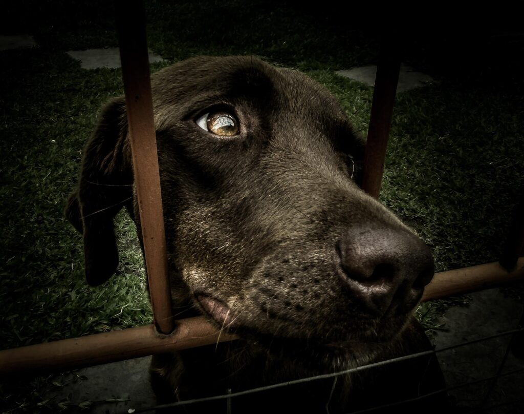 中途採用説明会で知っておくべきポイントは？