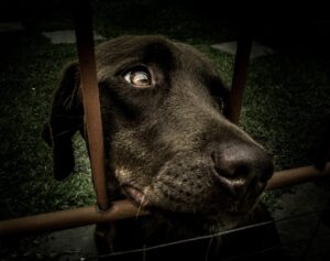 中途採用説明会で知っておくべきポイントは？