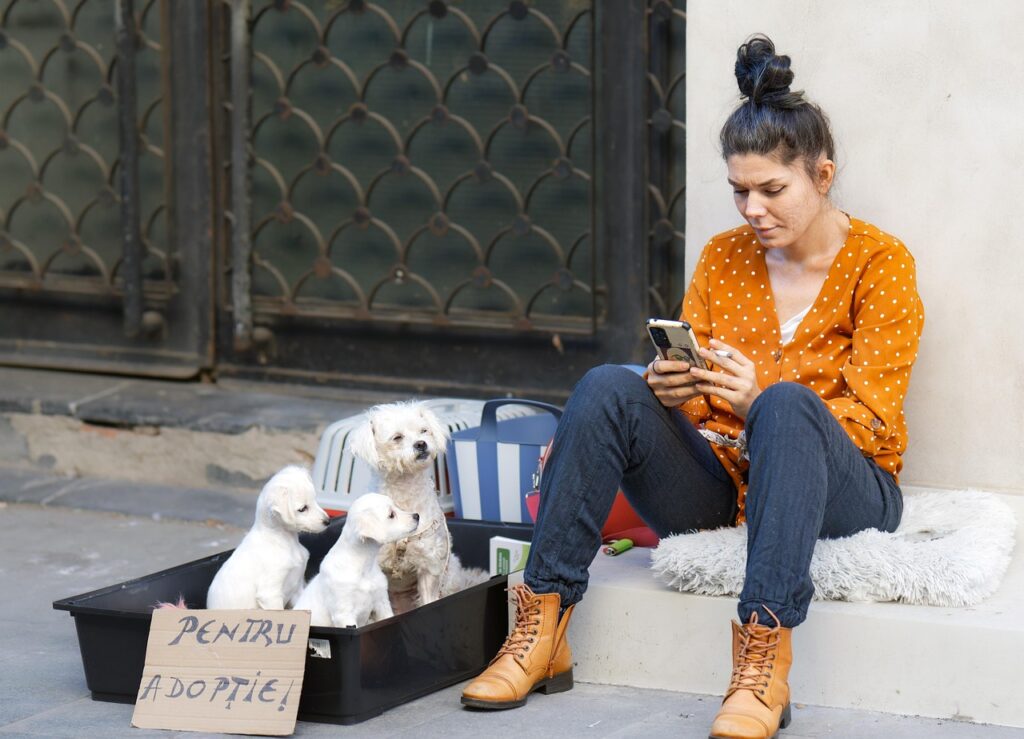 中途採用説明会に参加するメリットは何ですか？