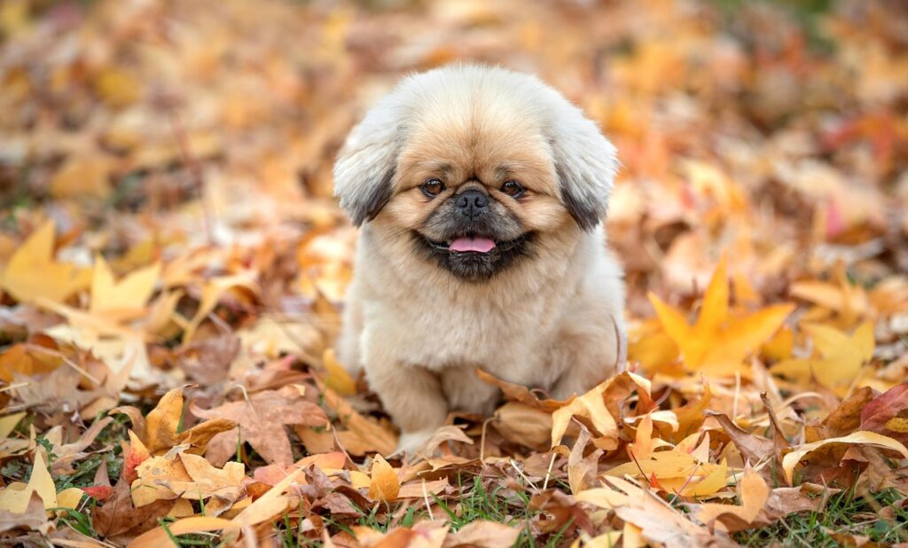 snsマーケターの年収はどのくらい？