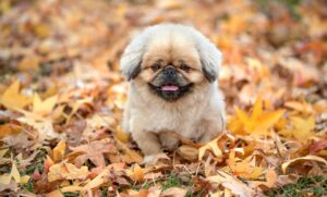 デジマブートキャンプで学べるスキルとは？