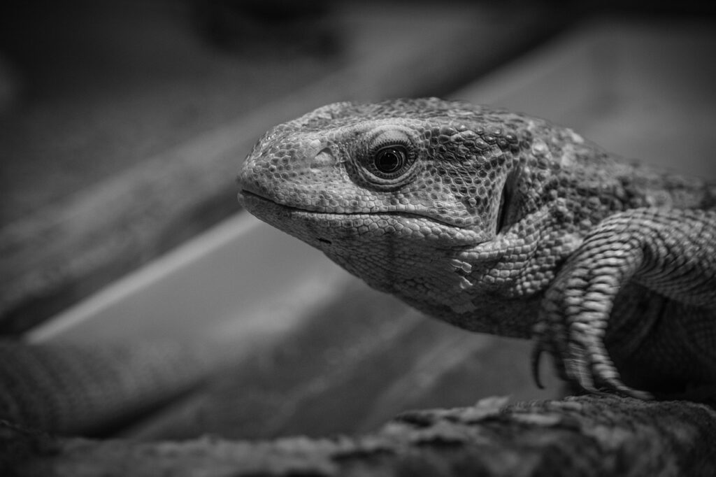 バックエンドエンジニアが利用すべき転職エージェントは？