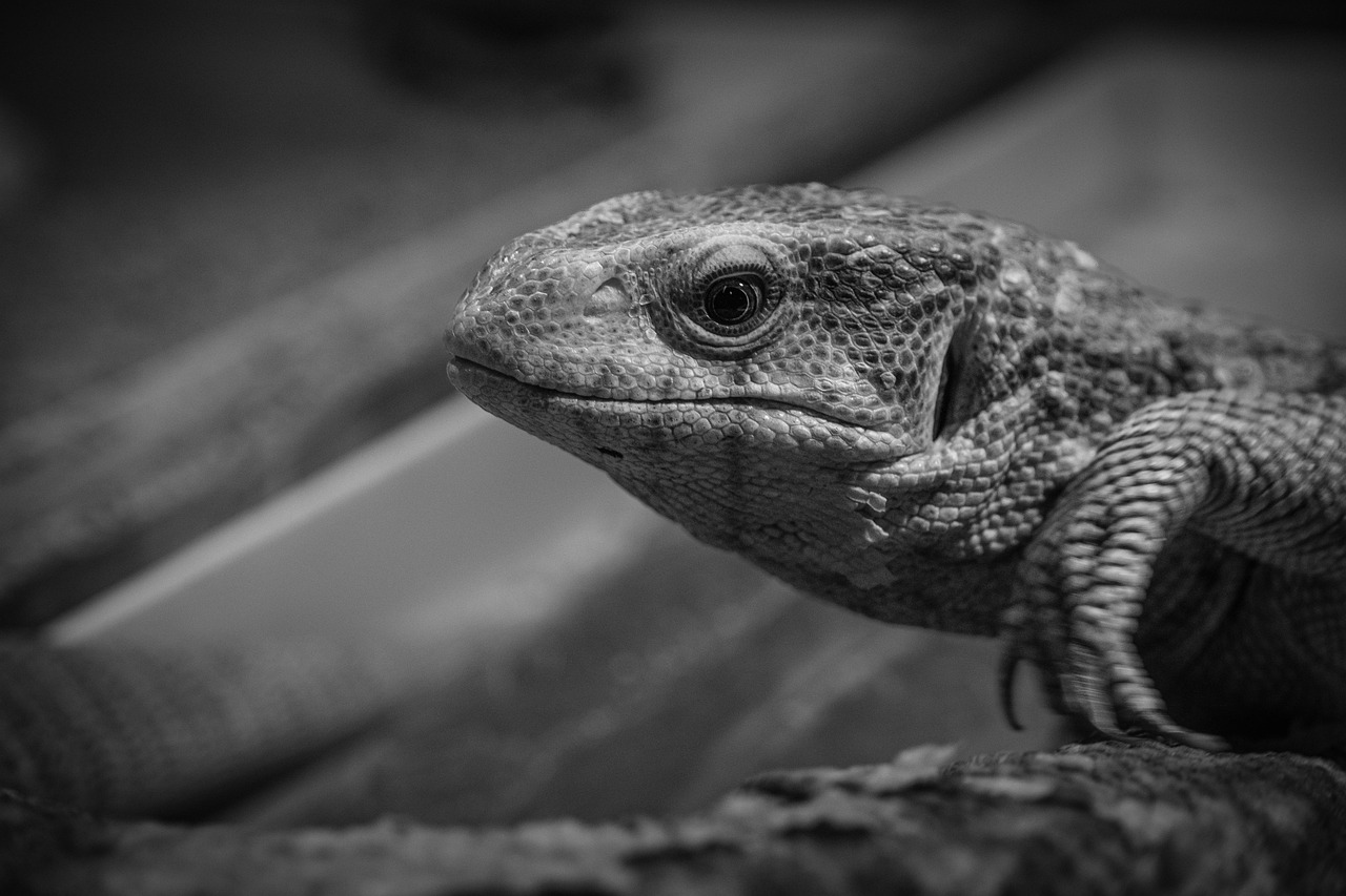 バックエンドエンジニアが利用すべき転職エージェントは？