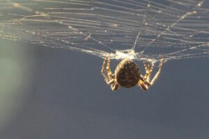 Web業界の転職で求められるWebマーケターの需要はどのくらい？