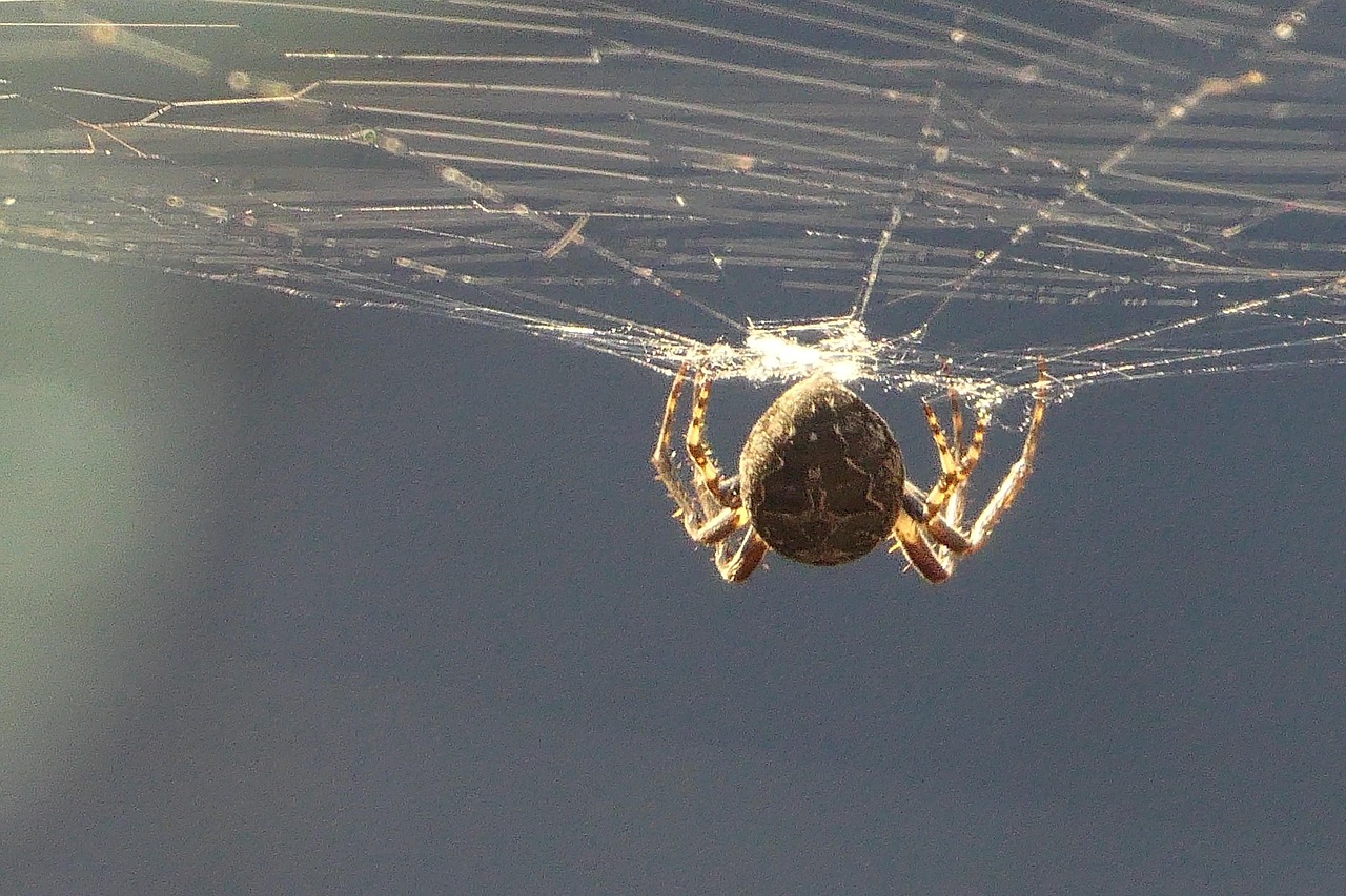 Web業界の転職で求められるWebマーケターの需要はどのくらい？