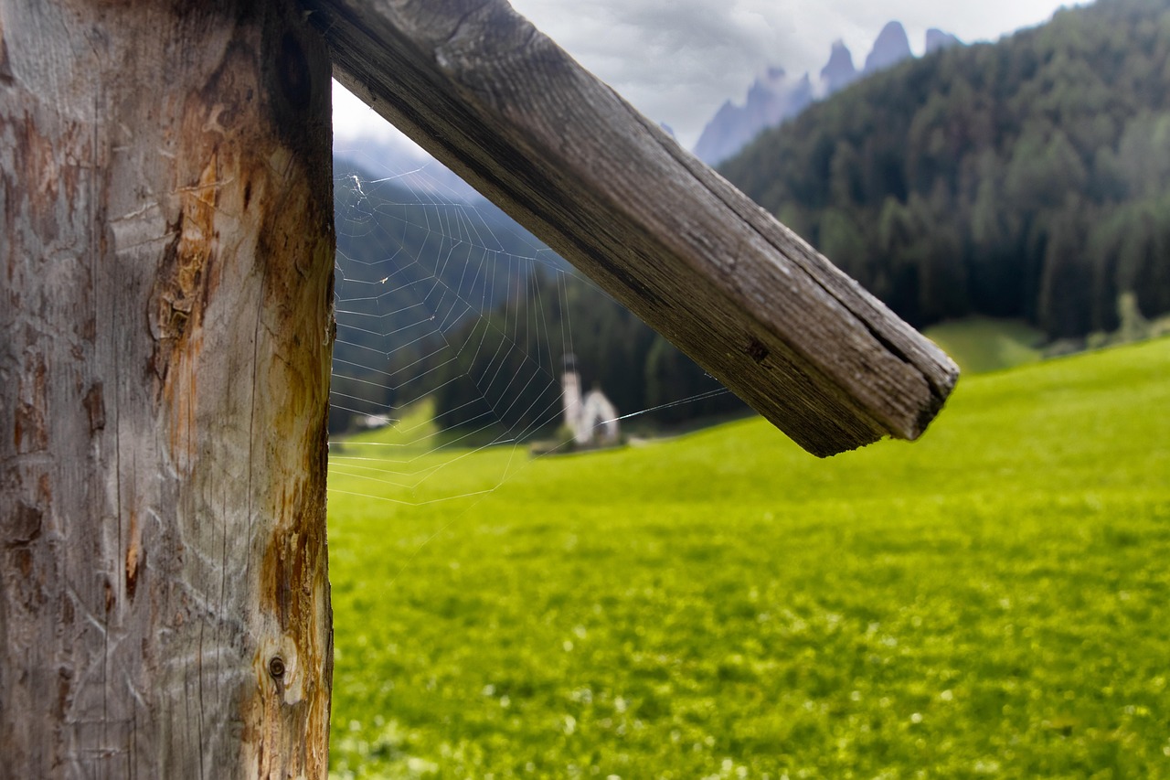 Web業界への未経験者の転職で入社可能なトレンドは？