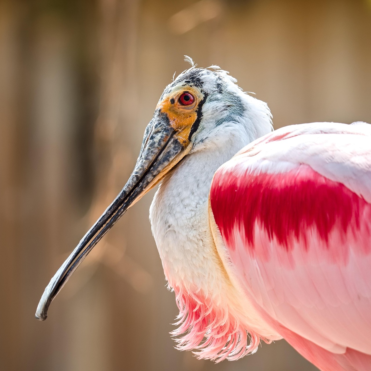 職務経歴書をクリエイティブに仕上げるためのポイントは？