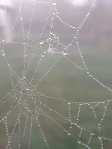 Web業界での転職におけるDX推進求人はどのようなものがある？