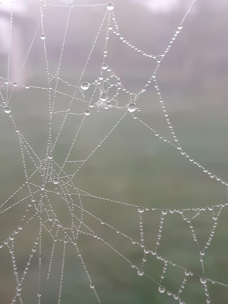 Web業界での転職におけるDX推進求人はどのようなものがある？