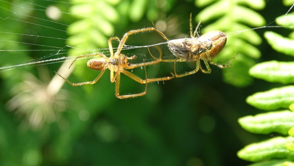 Web業界での転職、スタートアップが人気の理由は？